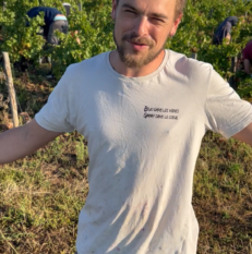 Benoit Marchant - Les vendanges dans le Beaujolais